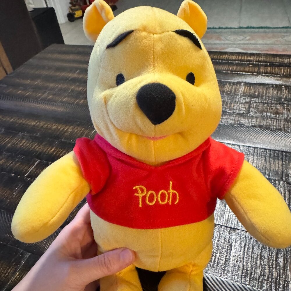 Fisher Price Winnie the Pooh Plush 11”